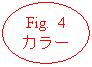 椭圆: Fig. 4
カラ�`
